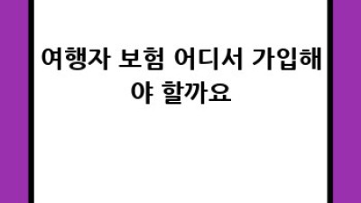 여행자 보험 완벽 가이드: 똑똑한 여행, 안전한 보장!