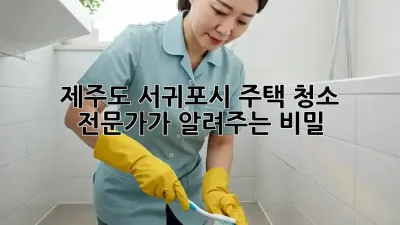 제주도 서귀포시 주택 청소, 전문가가 알려주는 비밀!