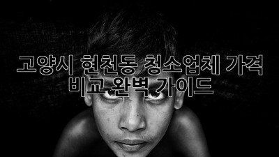 고양시 현천동 청소업체 가격 비교 완벽 가이드